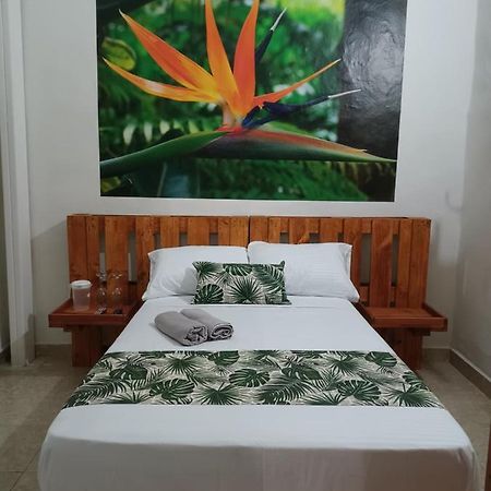 Hospedajes El Jardin Envigado Esterno foto