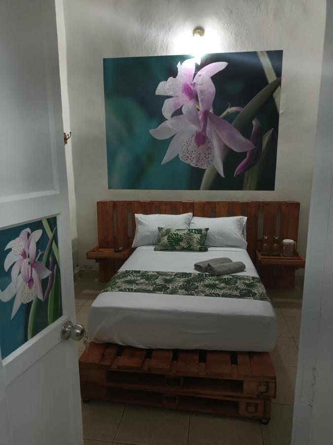 Hospedajes El Jardin Envigado Esterno foto